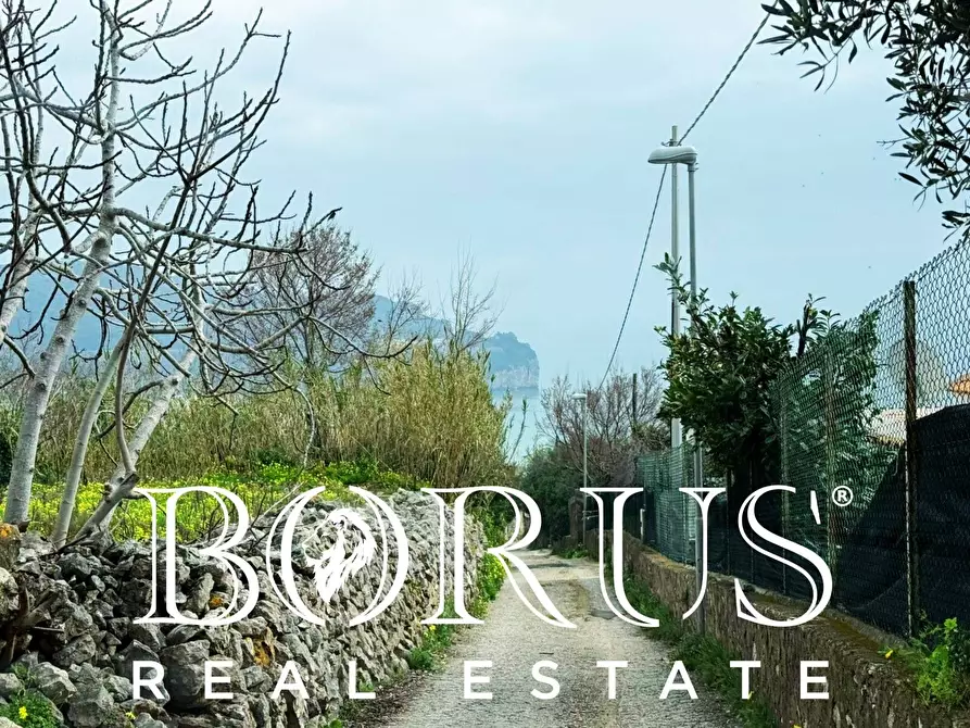 Immagine 148 di Attività commerciale in vendita  a Gaeta