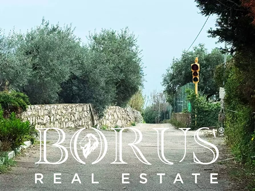 Immagine 167 di Attività commerciale in vendita  a Gaeta