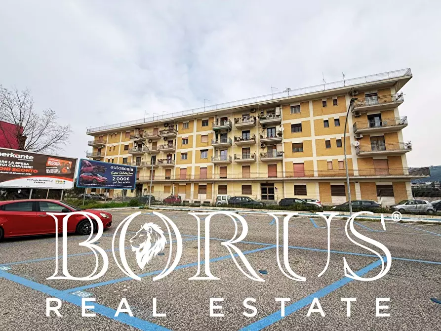 Immagine 16 di Ufficio in affitto  in via Bersaglieri a Caserta