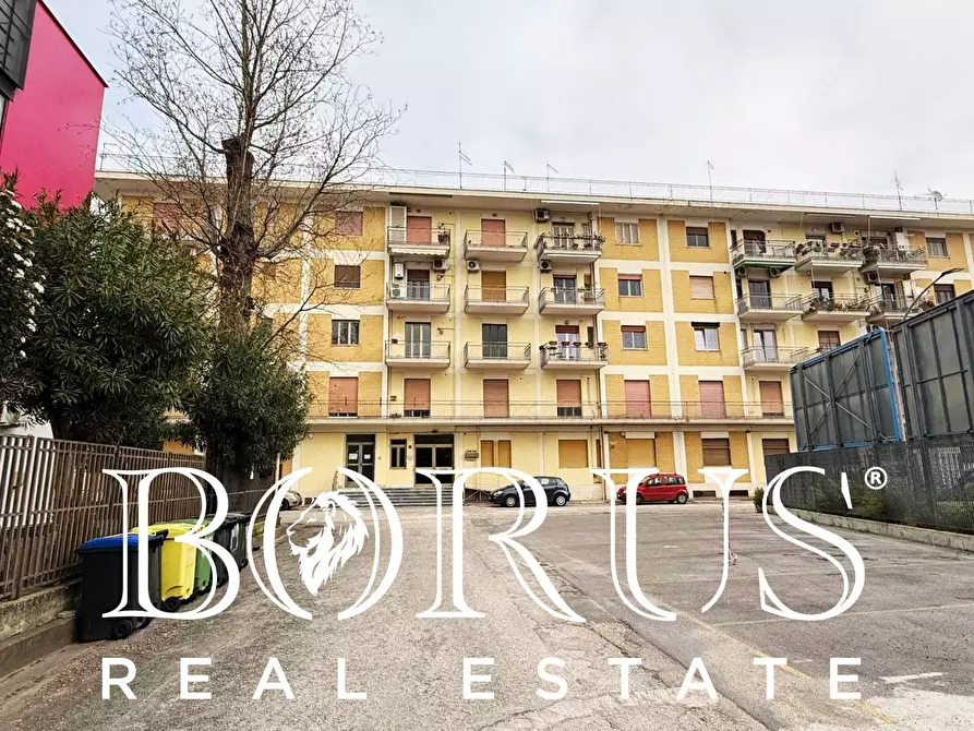 Immagine 17 di Ufficio in affitto  in via Bersaglieri a Caserta