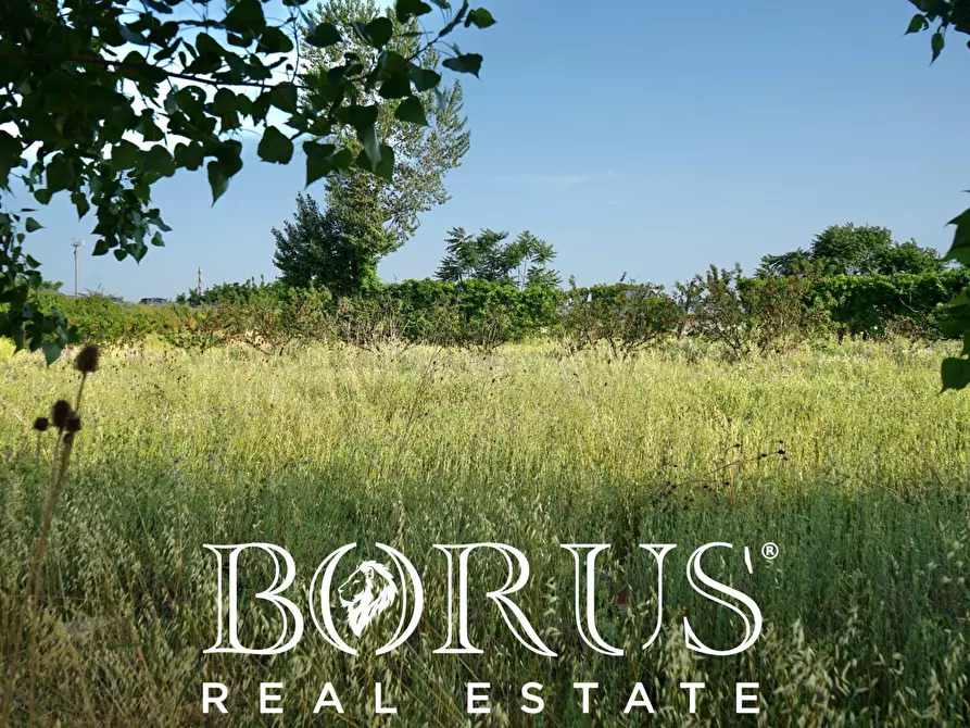 Immagine 1 di Terreno agricolo in vendita  in traversa Schiavone a Frignano