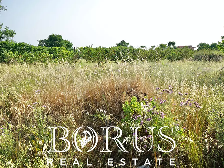 Immagine 2 di Terreno agricolo in vendita  in traversa Schiavone a Frignano