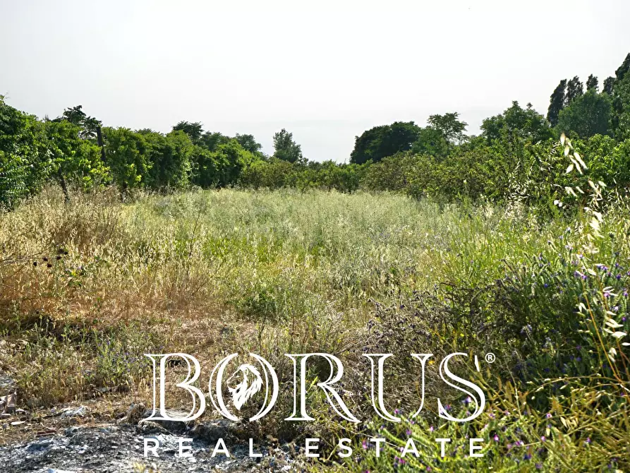 Immagine 3 di Terreno agricolo in vendita  in traversa Schiavone a Frignano