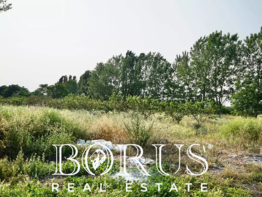 Immagine 5 di Terreno agricolo in vendita  in traversa Schiavone a Frignano