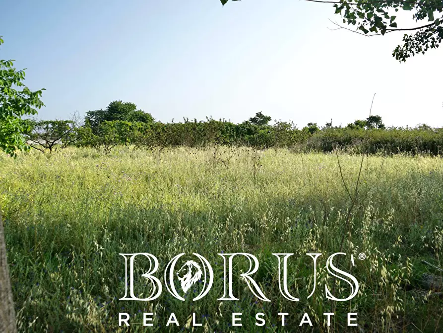 Immagine 6 di Terreno agricolo in vendita  in traversa Schiavone a Frignano