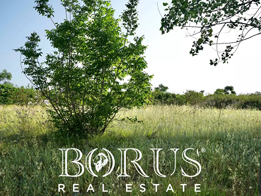 Immagine 8 di Terreno agricolo in vendita  in traversa Schiavone a Frignano