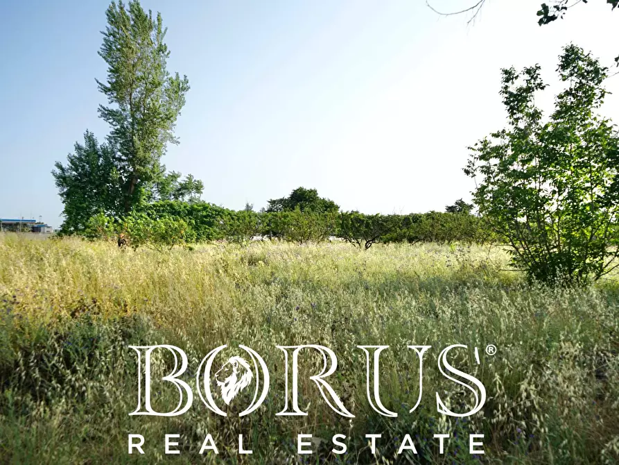 Immagine 9 di Terreno agricolo in vendita  in traversa Schiavone a Frignano