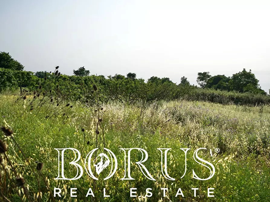 Immagine 10 di Terreno agricolo in vendita  in traversa Schiavone a Frignano