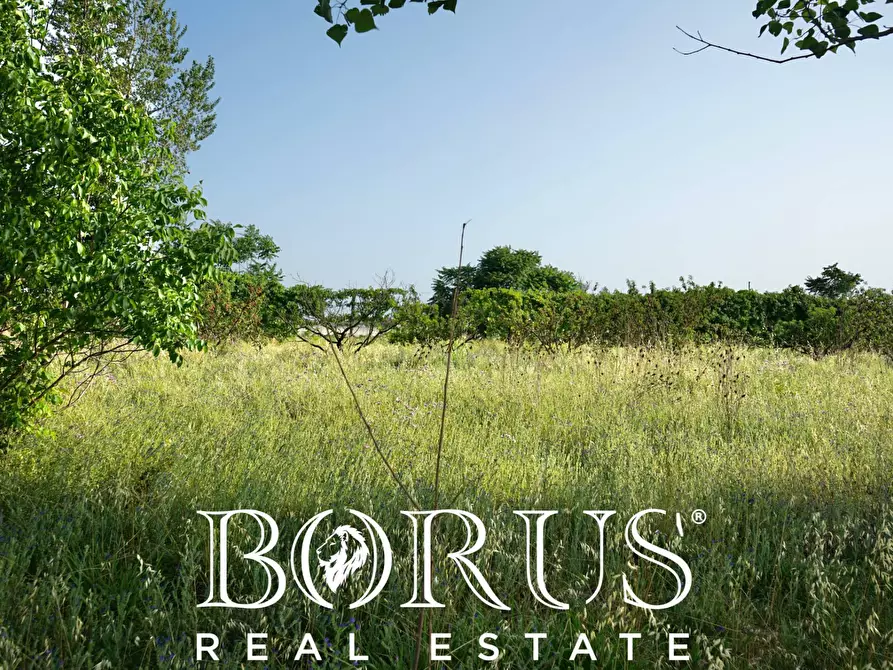 Immagine 12 di Terreno agricolo in vendita  in traversa Schiavone a Frignano