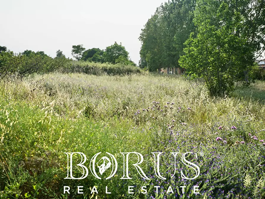 Immagine 13 di Terreno agricolo in vendita  in traversa Schiavone a Frignano