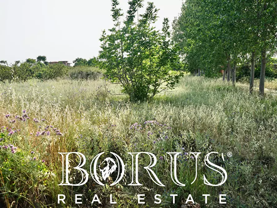 Immagine 14 di Terreno agricolo in vendita  in traversa Schiavone a Frignano