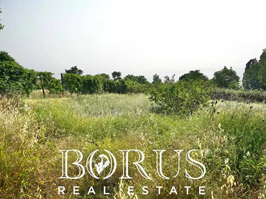 Immagine 15 di Terreno agricolo in vendita  in traversa Schiavone a Frignano