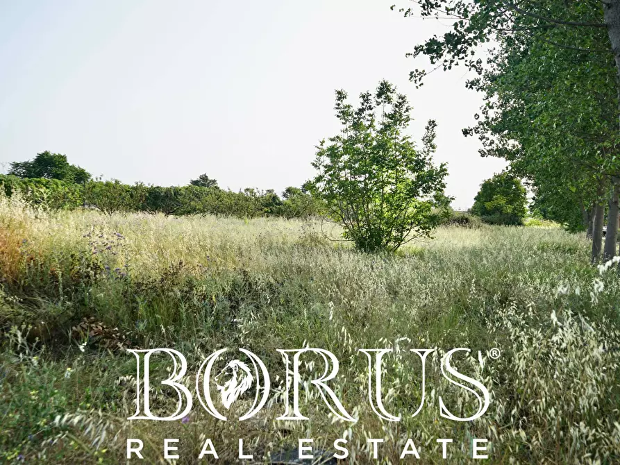 Immagine 16 di Terreno agricolo in vendita  in traversa Schiavone a Frignano