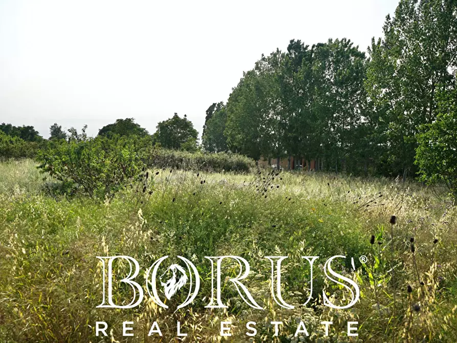 Immagine 17 di Terreno agricolo in vendita  in traversa Schiavone a Frignano