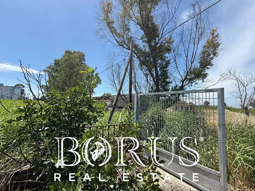 Immagine 3 di Rustico / casale in vendita  in Seponi nord a Castel Volturno
