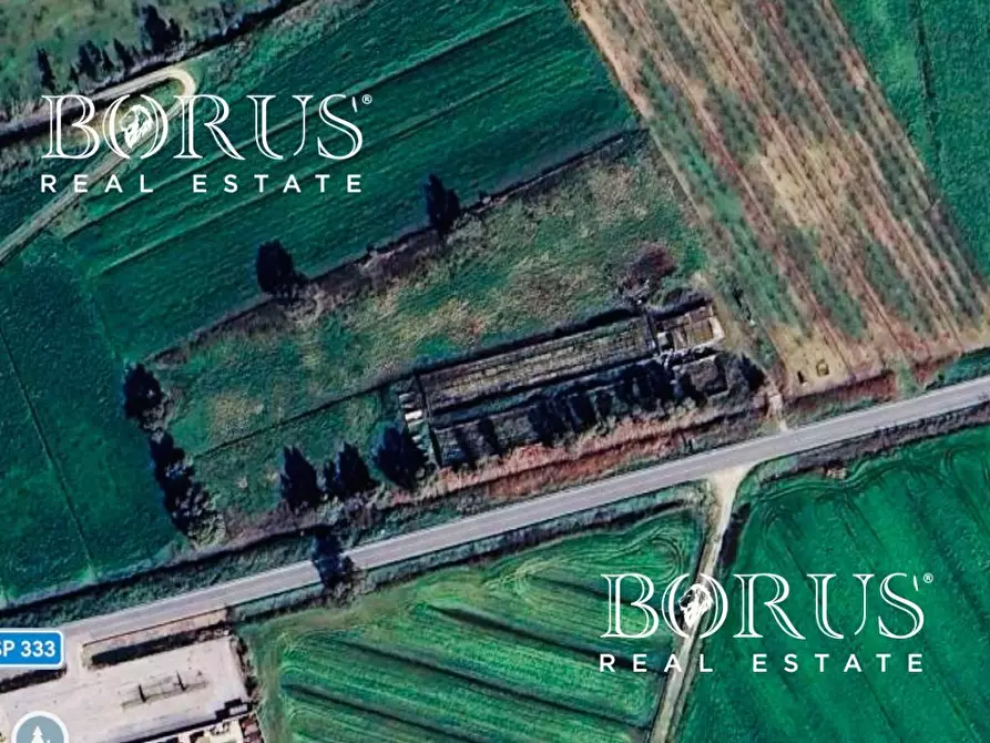 Immagine 30 di Rustico / casale in vendita  in Seponi nord a Castel Volturno