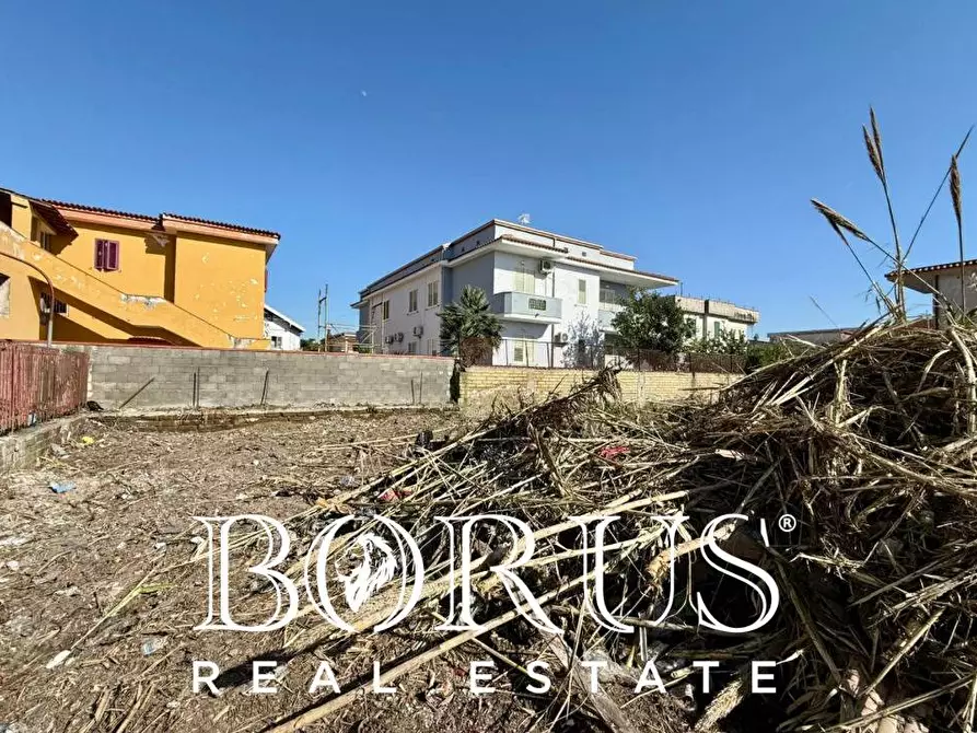 Immagine 6 di Terreno residenziale in vendita  in via roma 7 a Cancello Ed Arnone
