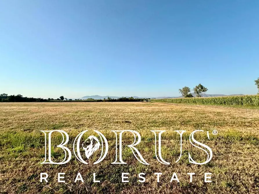 Immagine 8 di Terreno agricolo in vendita  in via Roma 3 a Cancello Ed Arnone