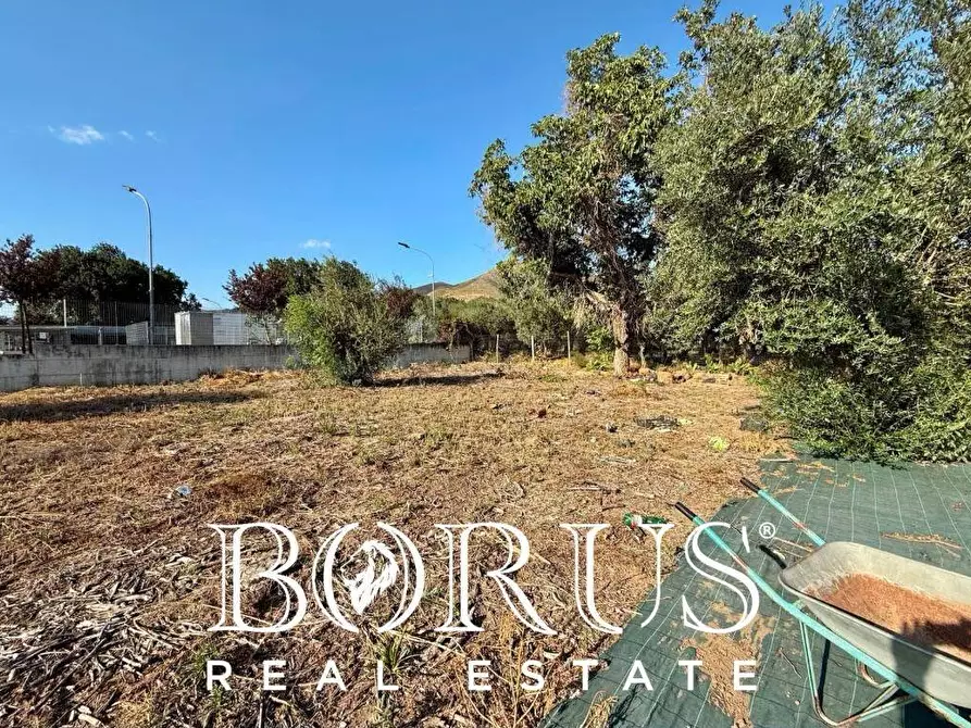 Immagine 4 di Terreno residenziale in vendita  in via roma 4 a Cancello Ed Arnone