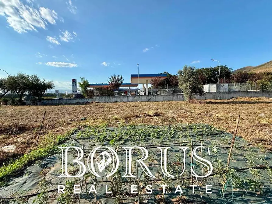 Immagine 7 di Terreno residenziale in vendita  in via roma 4 a Cancello Ed Arnone