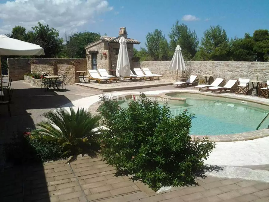 Immagine 6 di Appartamento in vendita  a Monteprandone