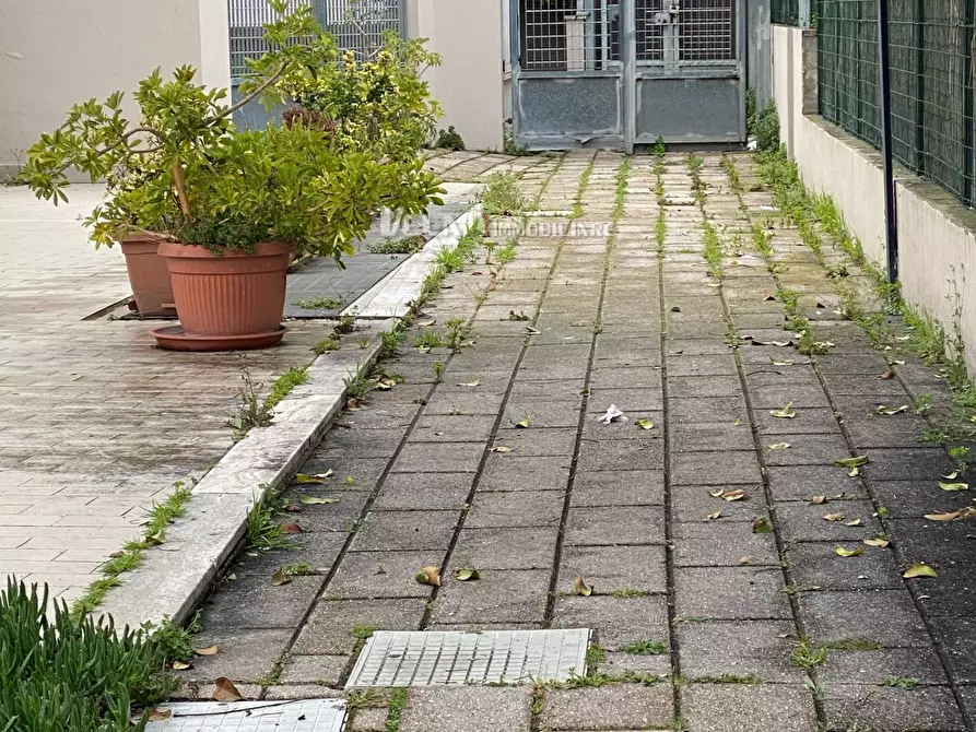 Immagine 6 di Magazzino in vendita  a San Benedetto Del Tronto