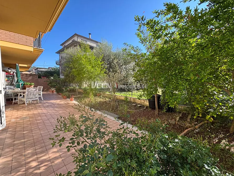 Immagine 4 di Appartamento in vendita  a Spinetoli