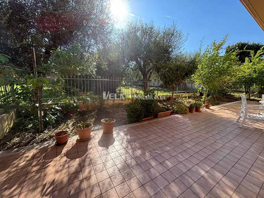 Immagine 2 di Appartamento in vendita  a Spinetoli