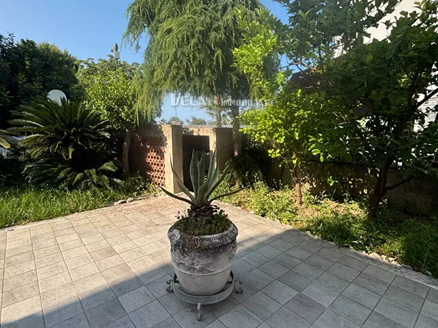 Immagine 45 di Attico in vendita  a San Benedetto Del Tronto