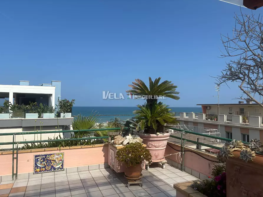 Immagine 2 di Attico in vendita  a San Benedetto Del Tronto