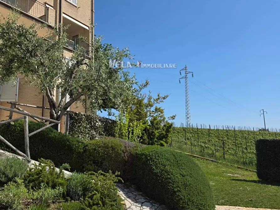 Immagine 33 di Appartamento in vendita  a Campofilone