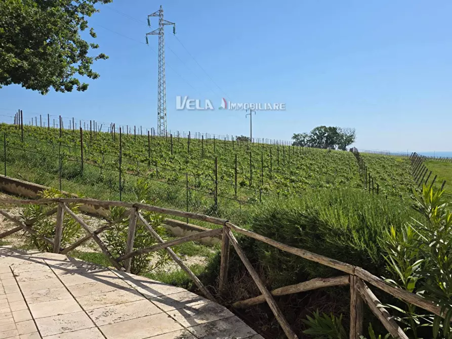 Immagine 37 di Appartamento in vendita  a Campofilone