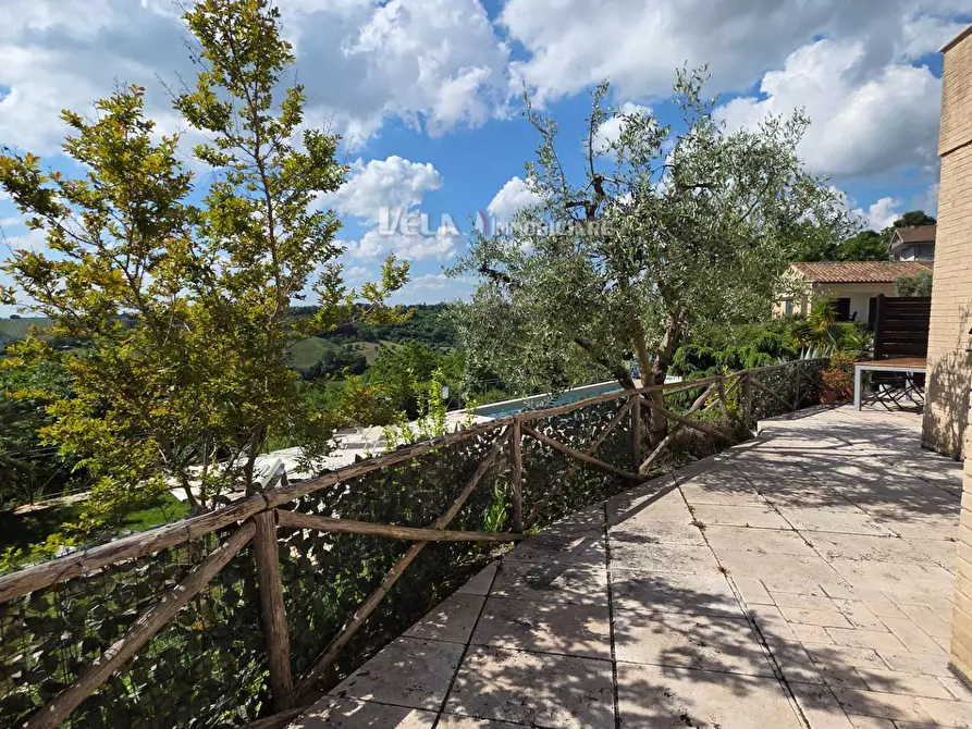 Immagine 19 di Appartamento in vendita  a Campofilone