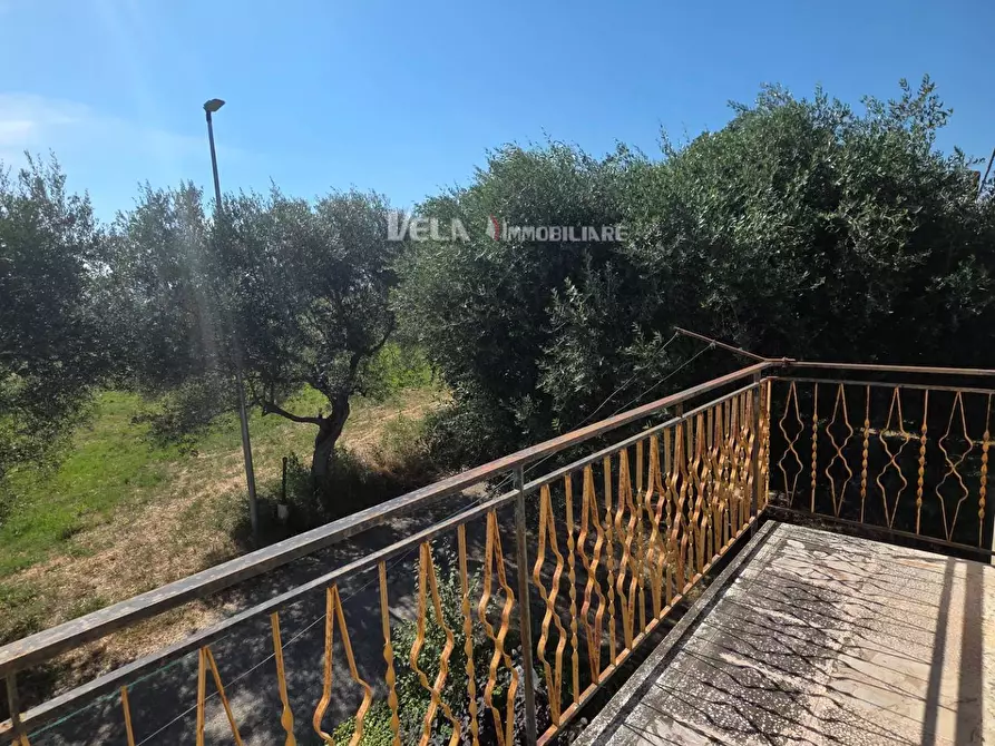 Immagine 1 di Appartamento in vendita  a Monsampolo Del Tronto