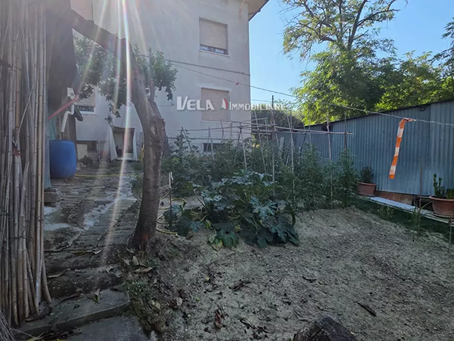 Immagine 17 di Appartamento in vendita  a Monsampolo Del Tronto