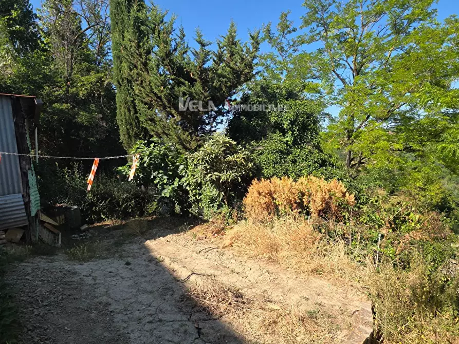 Immagine 14 di Appartamento in vendita  a Monsampolo Del Tronto