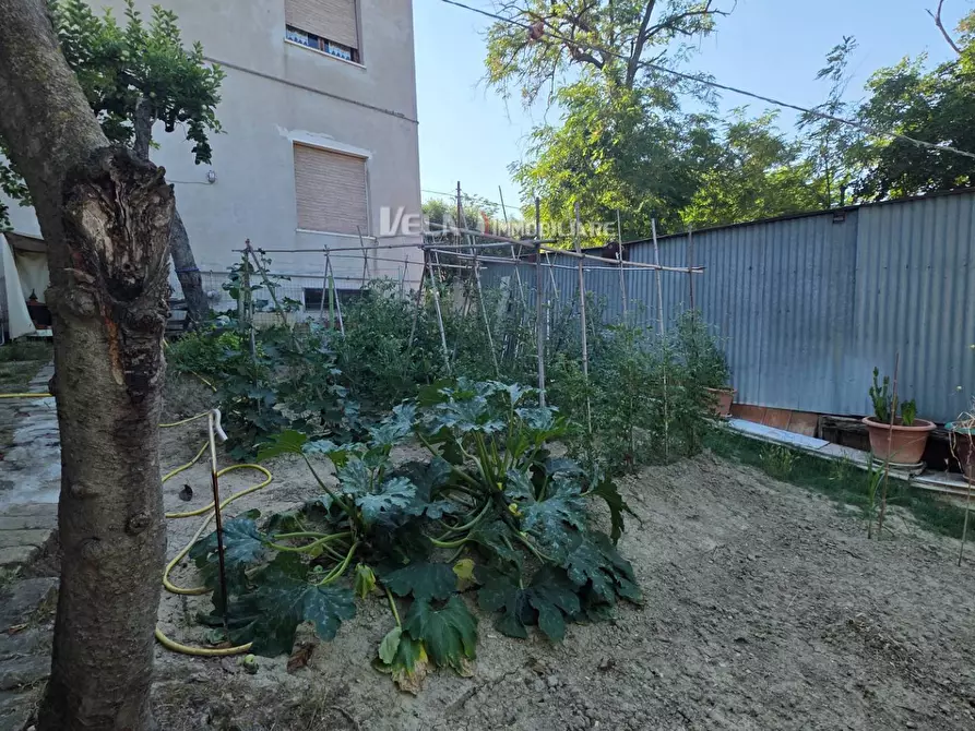 Immagine 18 di Appartamento in vendita  a Monsampolo Del Tronto