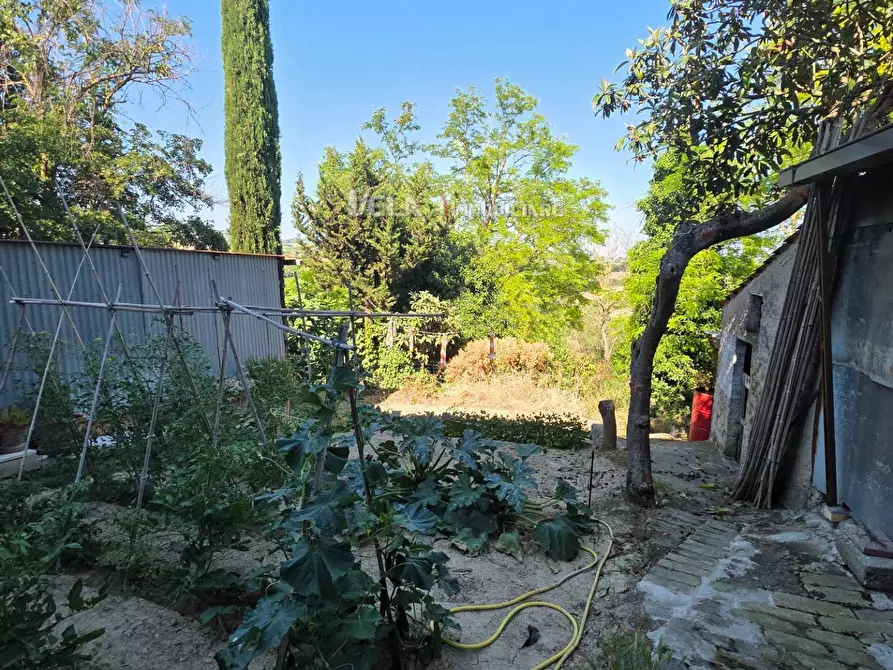 Immagine 19 di Appartamento in vendita  a Monsampolo Del Tronto