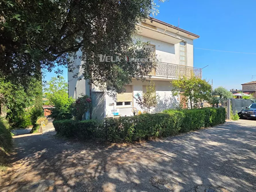 Immagine 21 di Appartamento in vendita  a Monsampolo Del Tronto