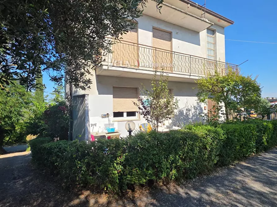 Immagine 22 di Appartamento in vendita  a Monsampolo Del Tronto