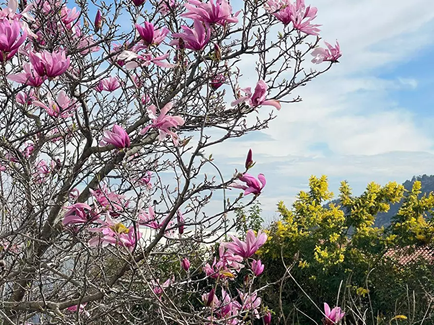 Immagine 21 di Casa indipendente in vendita  in via Costa 70 a Adro