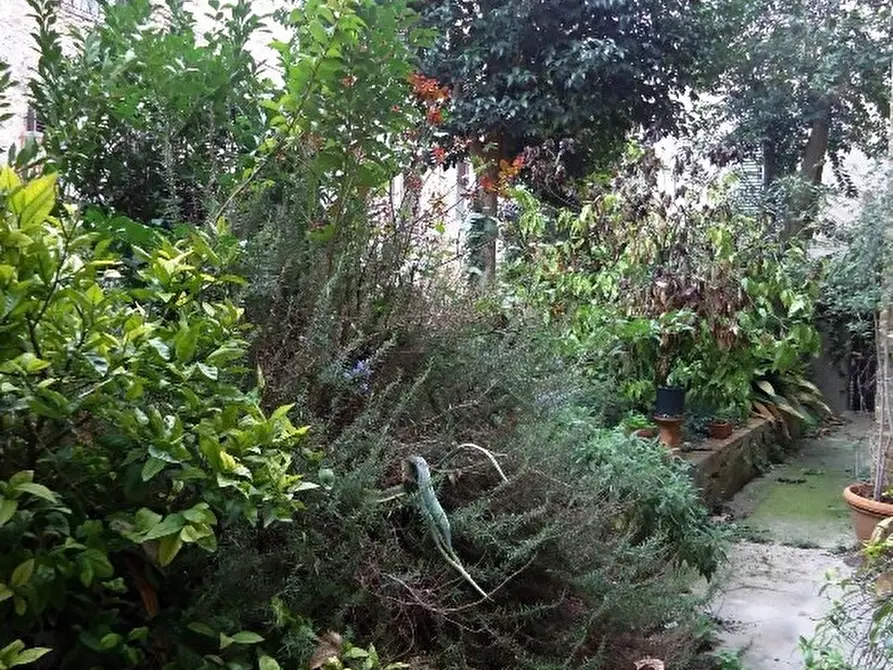 Immagine 31 di Palazzo in vendita  in via San Matteo a San Gimignano