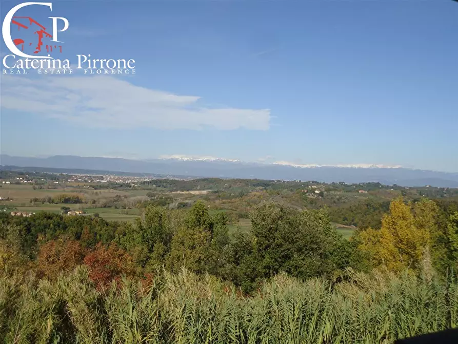 Immagine 9 di Azienda agricola in vendita  in via Buecchio a San Miniato