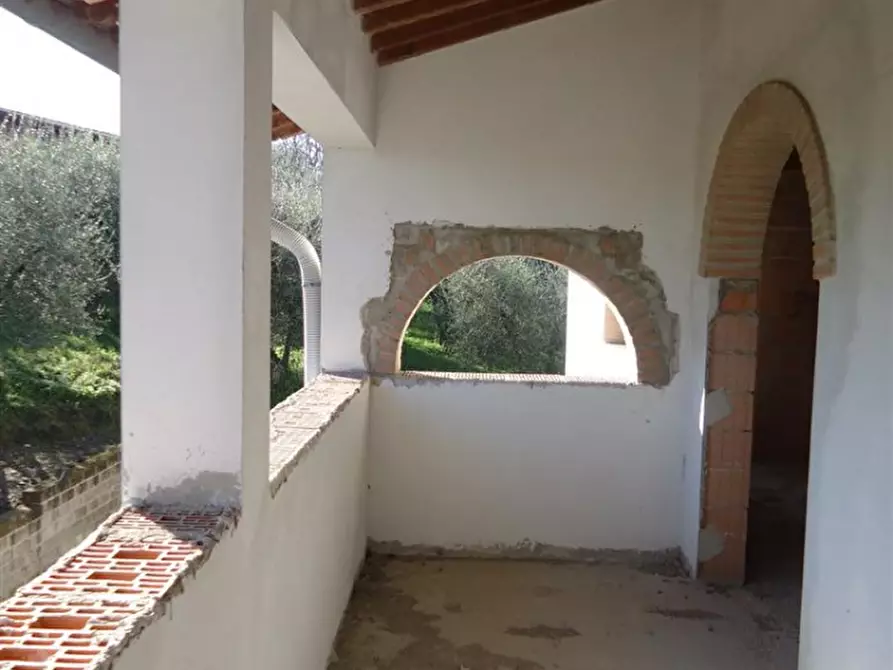 Immagine 11 di Azienda agricola in vendita  in via Buecchio a San Miniato