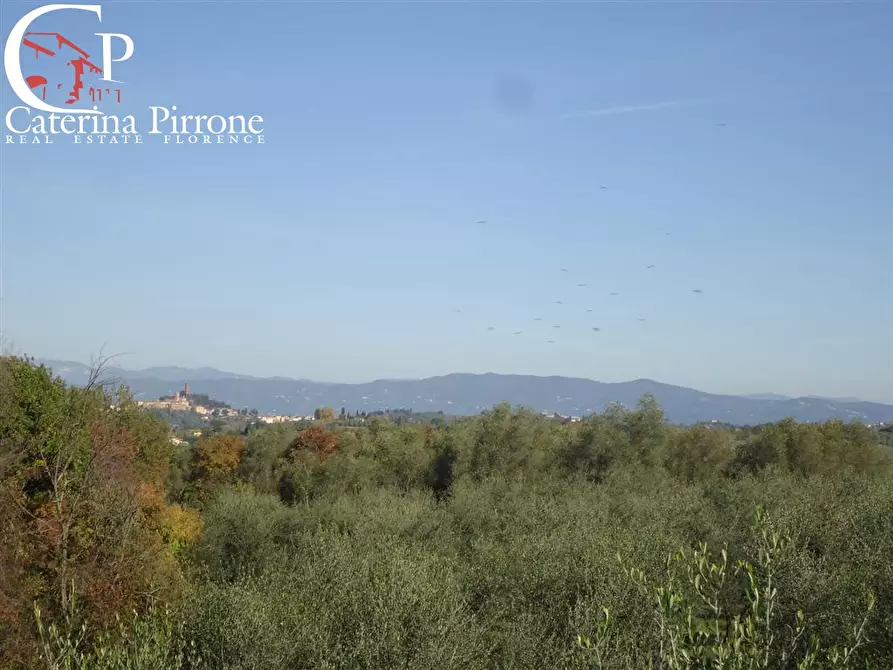 Immagine 10 di Azienda agricola in vendita  in via Buecchio a San Miniato