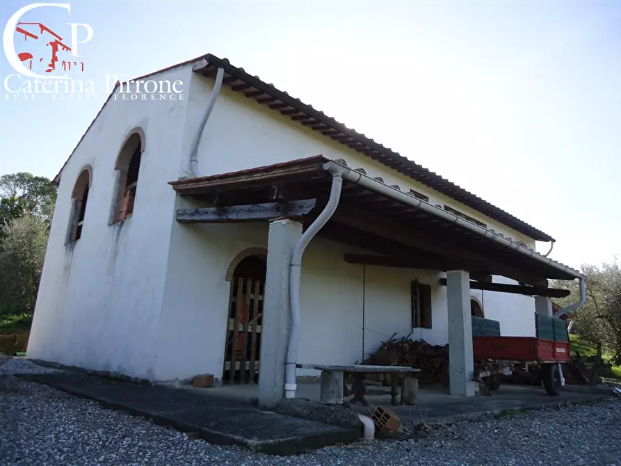 Immagine 4 di Azienda agricola in vendita  in via Buecchio a San Miniato