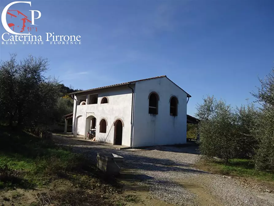 Immagine 8 di Azienda agricola in vendita  in via Buecchio a San Miniato