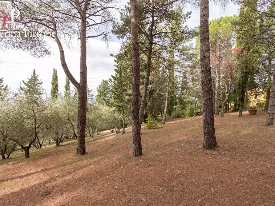 Immagine 15 di Villa in vendita  in via de' Fancelli 10 a Firenze
