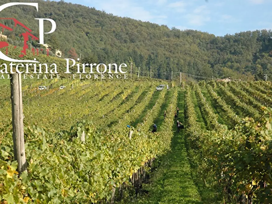 Immagine 11 di Agriturismo in vendita  in via Ampinana 10 a Vicchio