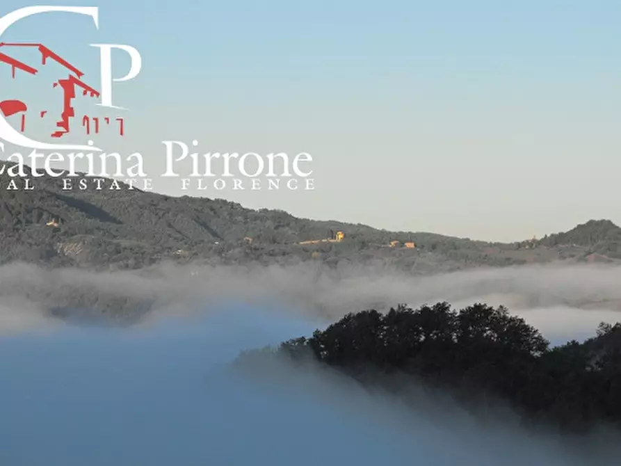 Immagine 14 di Agriturismo in vendita  in via Ampinana 10 a Vicchio